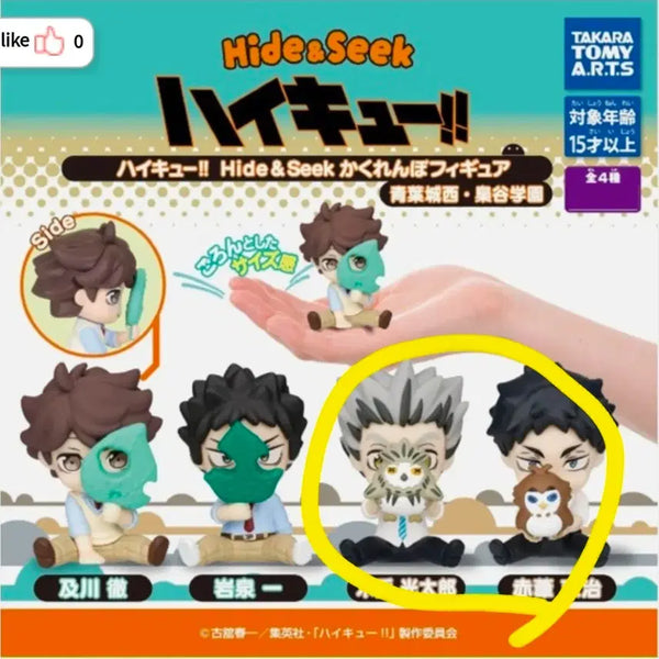 [BUNJANG] Haikyu!! Hide-and-Seek Mascot Figure Collection - Bokuto Koutarou & Akaashi Keiji (Fukurodani) / 하이큐 숨바꼭질 피규어 마스코트 캡슐토이 가챠 후쿠로다니 보쿠토 아카아시 룩업 피규어