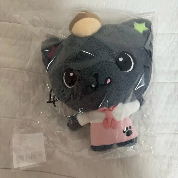 [BUNJANG] Wish Doll Patissier Kuri Doll (Sealed) / 미개봉) 위시돌 베이커리 파티시에 쿠리 인형 원가이하