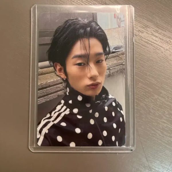 [BUNJANG] NOW I'M YOUNG Photocard & Badge Set / 나우아임영 포카,배찌