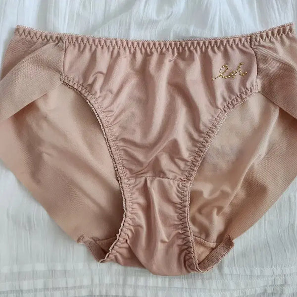 [BUNJANG] Silky Women's Panties (Used) / 실키한 여성 팬티 (중고)