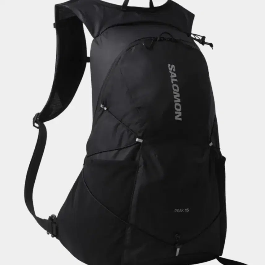 [BUNJANG] Salomon Peak 15 Backpack Black / (새제품) 살로몬 피크15 백팩 판매