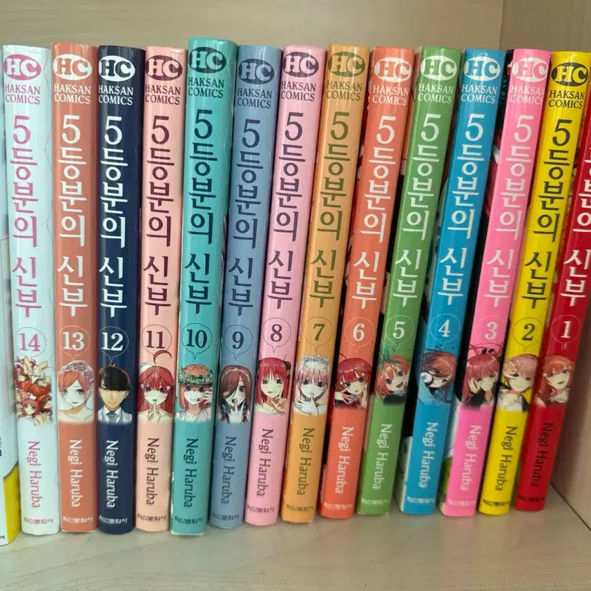 [BUNJANG] The Quintessential Quintuplets Complete Set / 5등분의 신부 전권