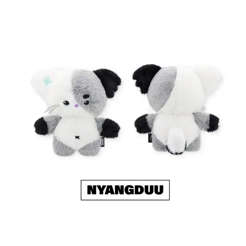 [BUNJANG] Xdinari Jeongsu NyanDu Photocard / 엑디즈 정수 냥듀 미개봉 양도