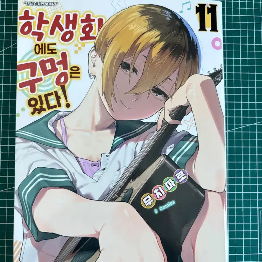[BUNJANG] Student Council Has Holes Too! Volume 11 / 학생회에도 구멍은 있다! 11권