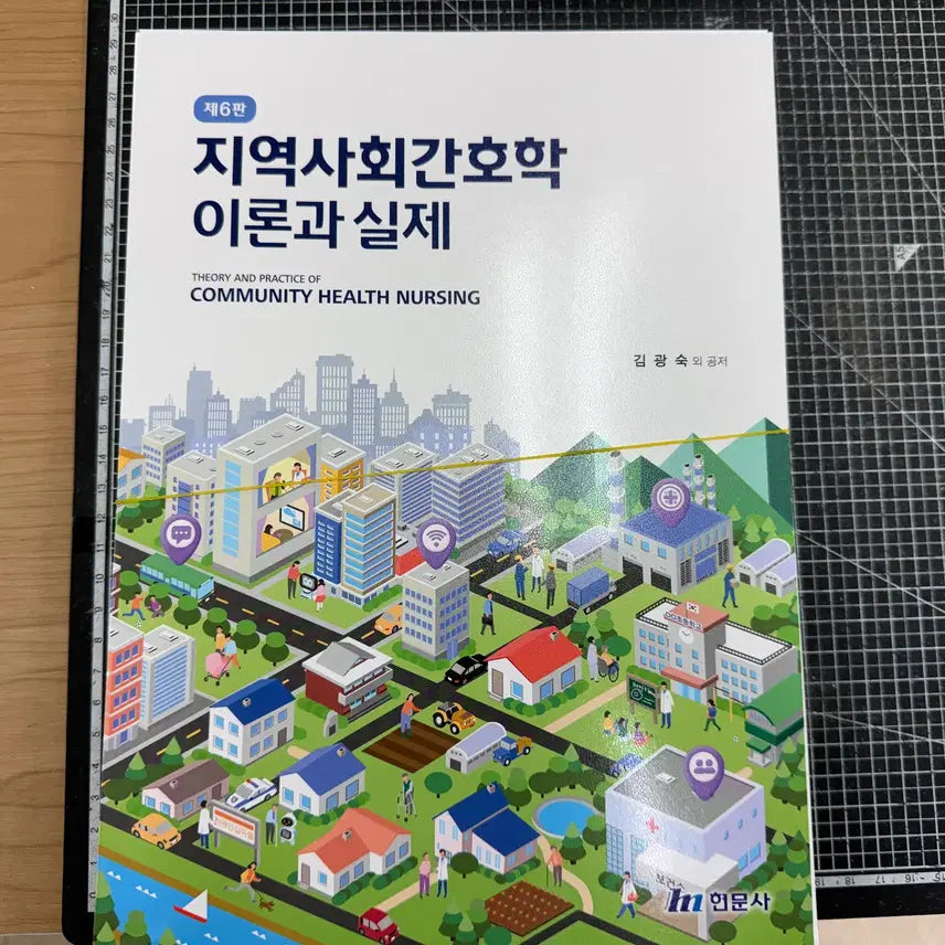 [BUNJANG] Community Health Nursing: Theory and Practice / 지역사회 간호학 이론과 실제