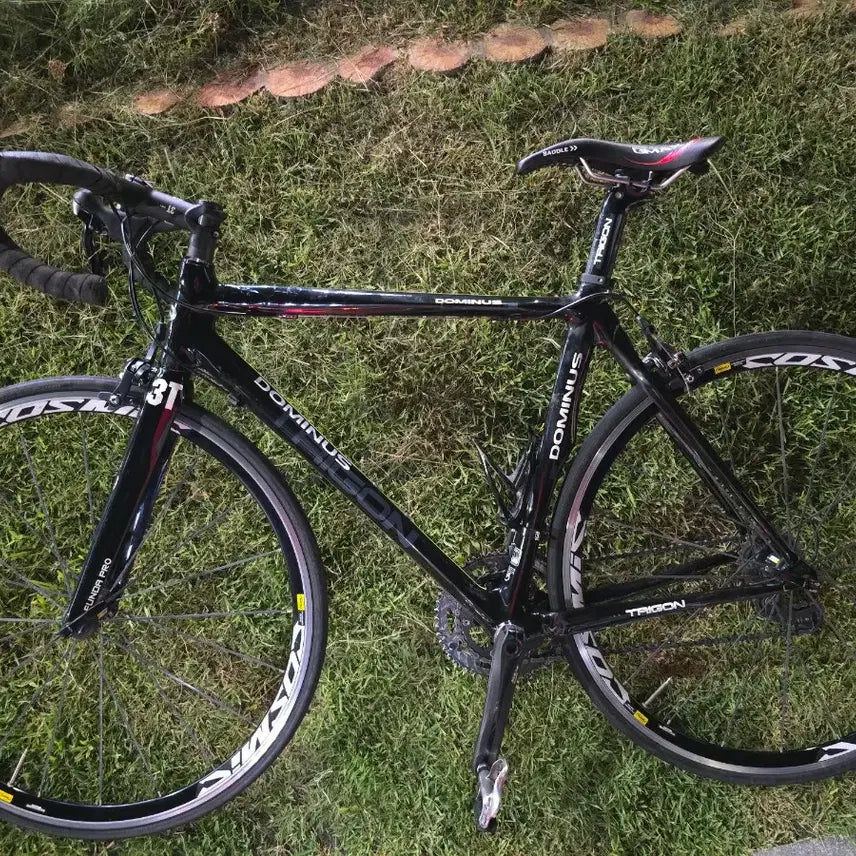 [BUNJANG] Dominus Carbon 105 Road Bike 52cm / 도미누스 카본 105급 로드 52사이즈 판매합니다 ~!