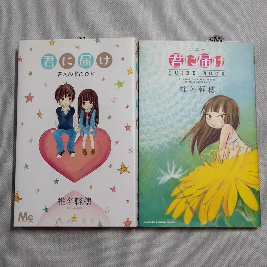 [BUNJANG] To Your Eternity Fanbook & Anime Guidebook (Japanese Edition) / 너에게닿기를 팬북, 애니 가이드북