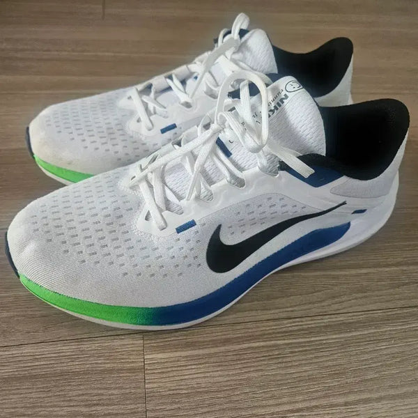 [BUNJANG] Nike Winflo 10 / 나이키 윈플로 10 팝니다