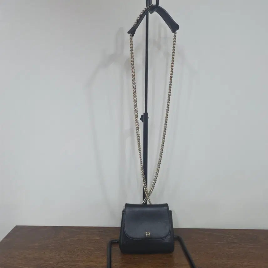 [BUNJANG] Aigner Mini Crossbody Bag / 아이그너 미니 크로스백