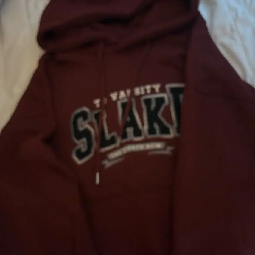 [BUNJANG] SLAKE Hooded Sweatshirt / 슬레이크 후드티 (정가 4만원)