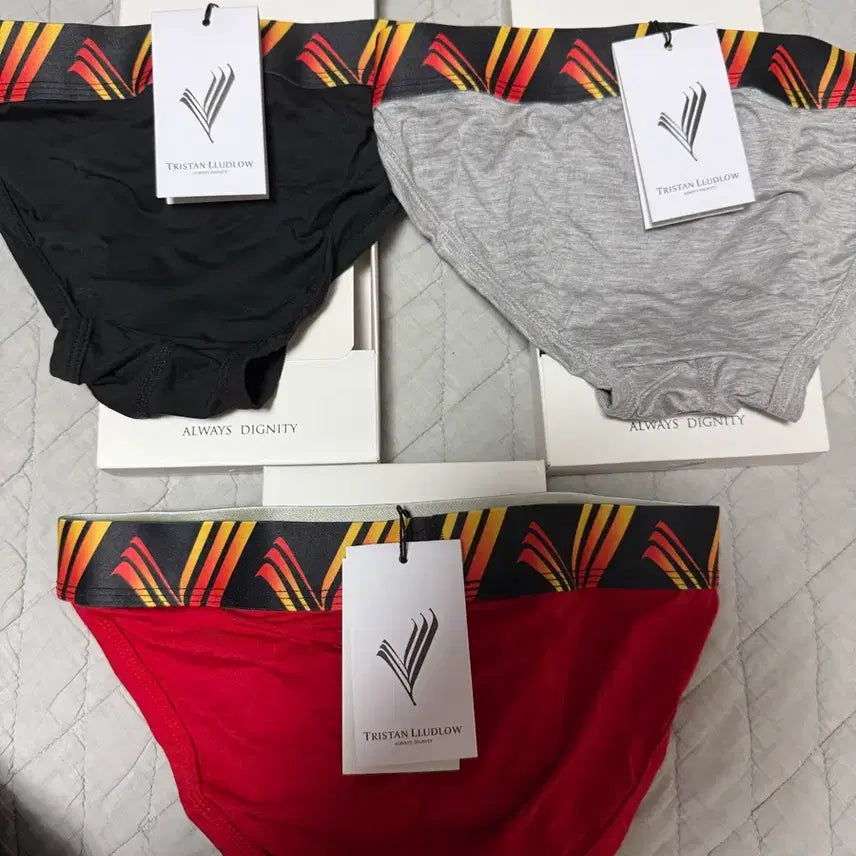 [BUNJANG] Robe Men's Sports Briefs (Bundle Set of 3) / (새제품) 남성 루베 스포츠 브리프 S 3종 일괄