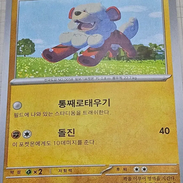[BUNJANG] Hisuian Typhlosion 041/066 C / 포켓몬카드 히스이 가디 041/066 C