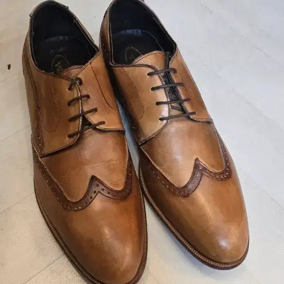 [BUNJANG] Binnern Italian Handmade Wingtip Shoes 275mm / 바이네르 윙팁 브라운 수제화 이태리 메이드 275 미리