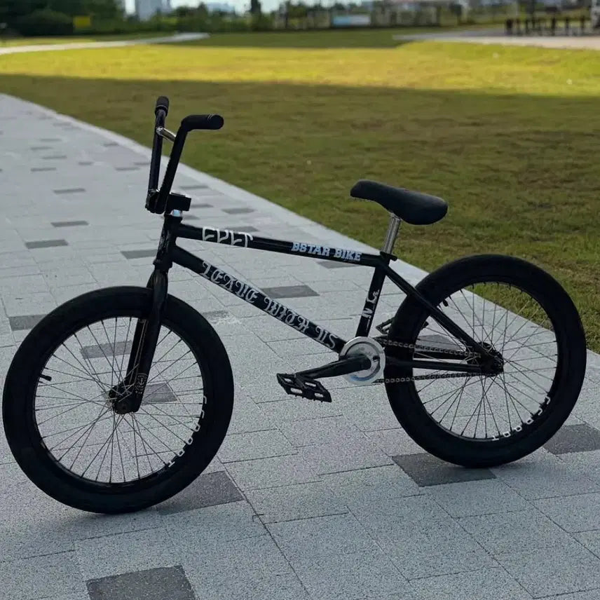 [BUNJANG] Cult Heaven's Gate BMX Frame 20.5 / Bmx 컬트 해븐즈게이트