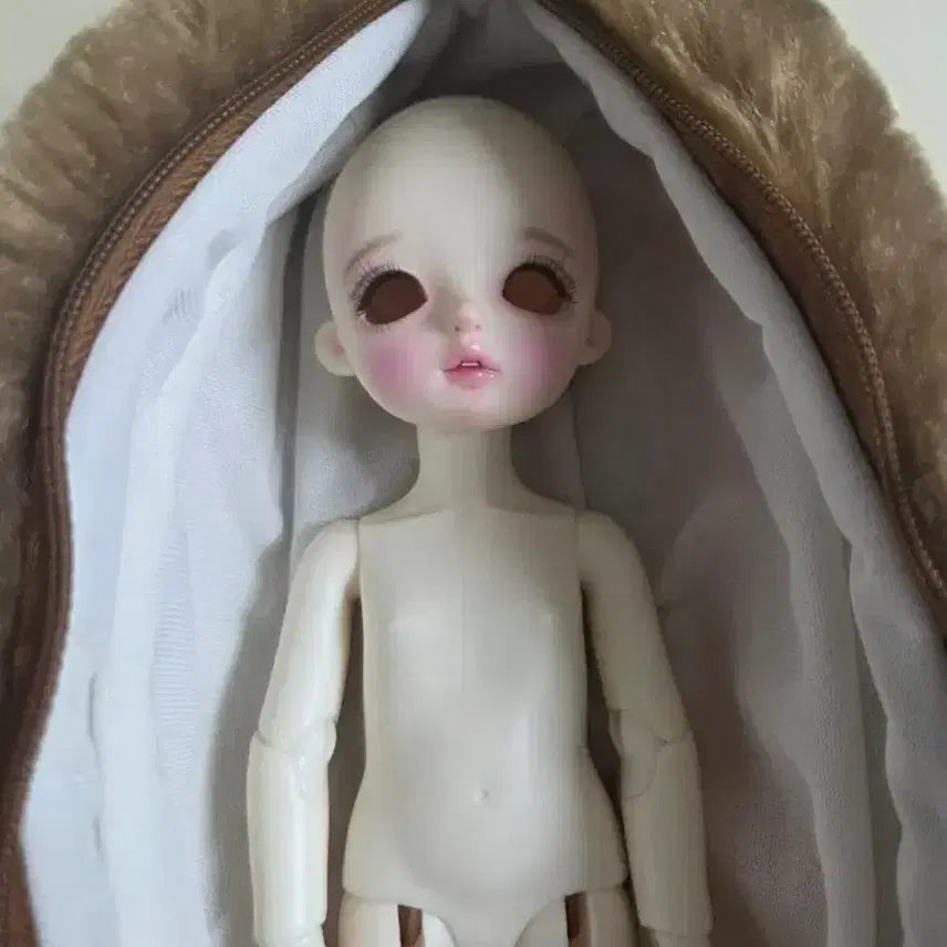 [BUNJANG] Lina Chouchou Winter Bloom Lime Ball Jointed Doll / 리나슈슈 윈터블룸 라임 구체관절인형 구관