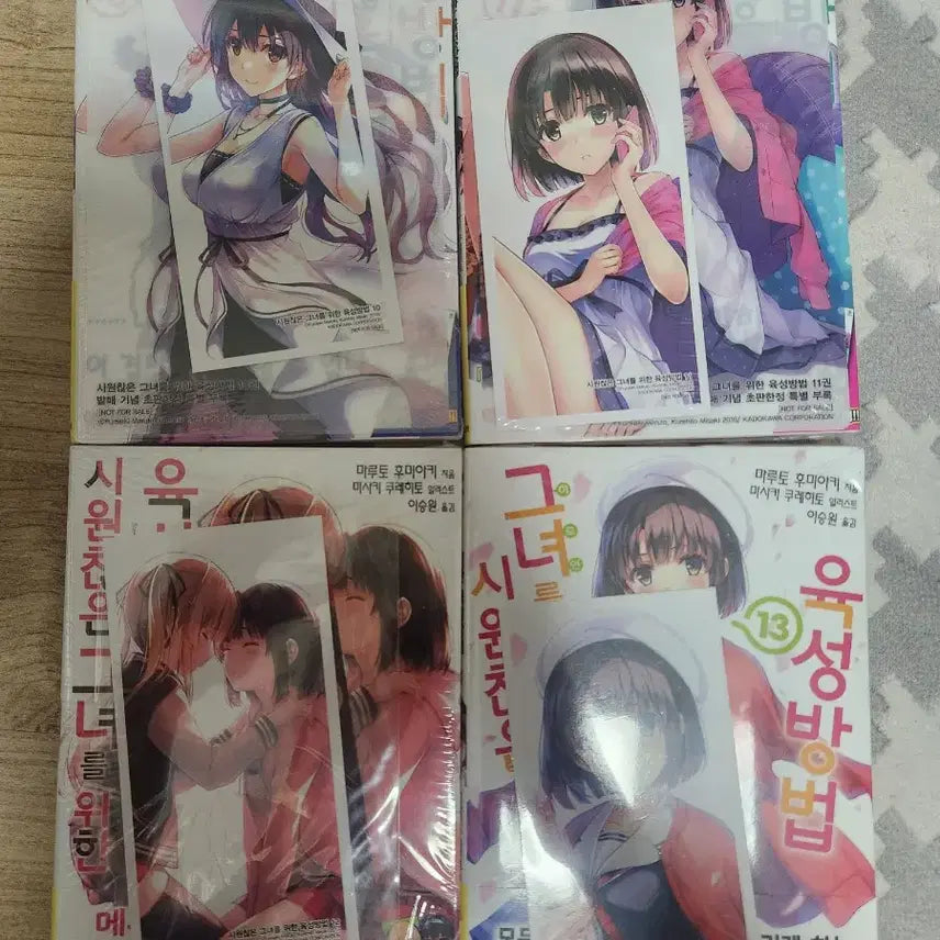 [BUNJANG] Saekano: How to Raise a Boring Girlfriend Volume 10-13 First Edition Unsealed Set / 시원찮은그녀를위한 10~13 초판미개봉