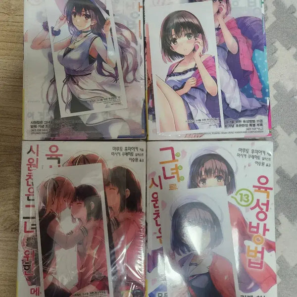 [BUNJANG] Saekano: How to Raise a Boring Girlfriend Volume 10-13 First Edition Unsealed Set / 시원찮은그녀를위한 10~13 초판미개봉