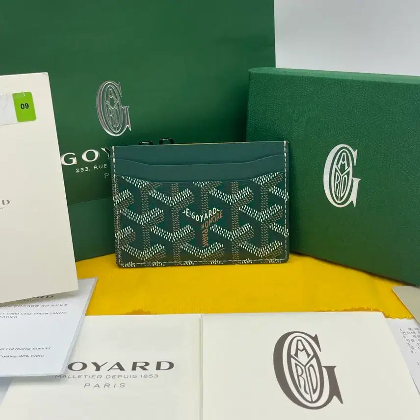 [BUNJANG] Goyard Saint-Pierre Card Wallet Green / [풀구성/25년] 고야드 생쉴피스 카드지갑 그린