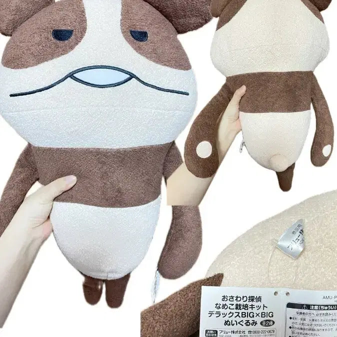 [BUNJANG] Bear Namako Large Plush / 곰 나메코 대형 인형