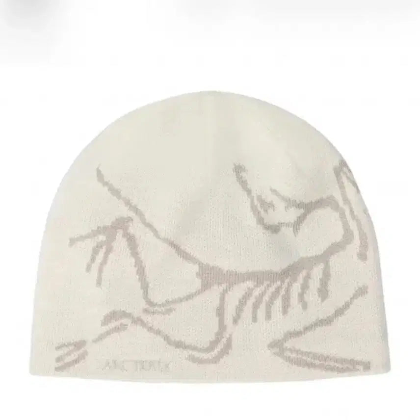 [BUNJANG] Arc'teryx Bird Head Toque Beanie / 아크테릭스 버드 헤드 토크 룬