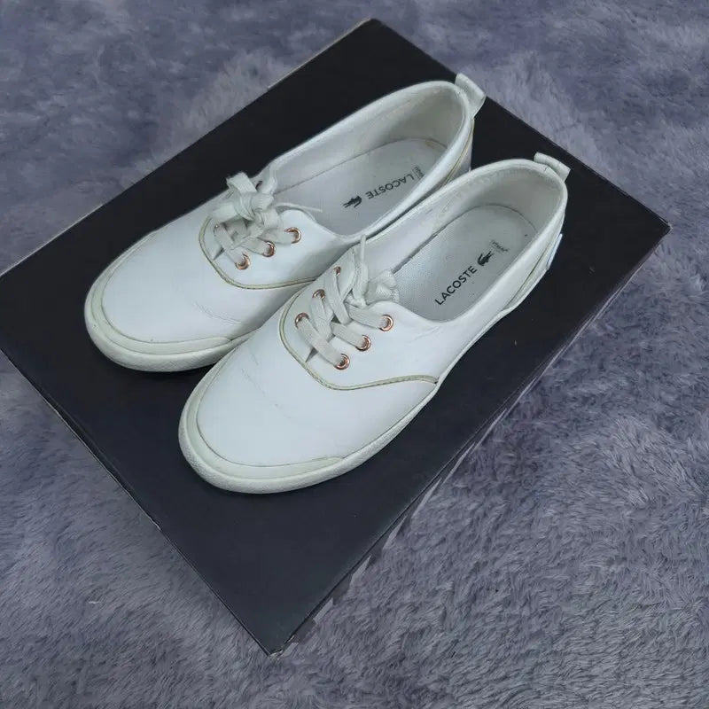 [BUNJANG] Lacoste Sneakers Size 225 / 225 라코스테 스니커즈 운동화 | 0728A48