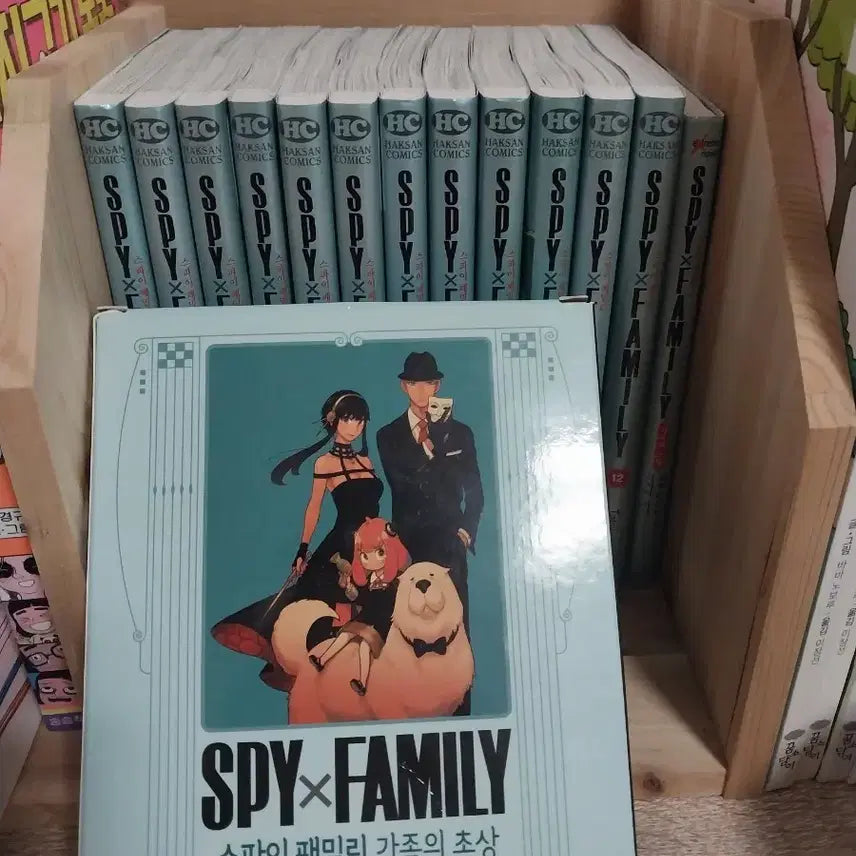[BUNJANG] Spy x Family Complete Set Volumes 1-12 + Family Portrait Limited Edition A / (가격 내림)스파이 패밀리 1~12권 + 가족의 초상 A한정판 일괄 판매