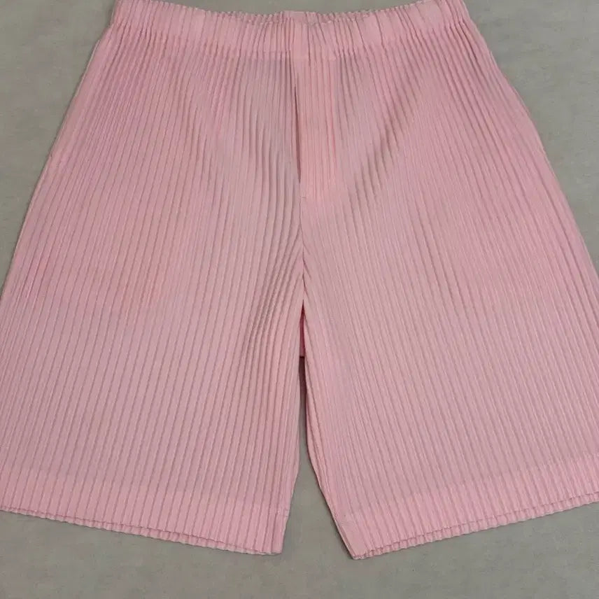 [BUNJANG] Homme Plissé Issey Miyake Shorts / (2) 옴므플리세 반바지 팬츠