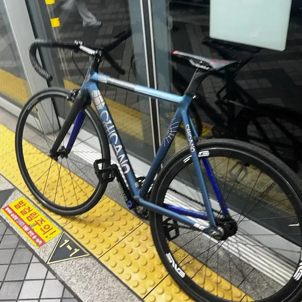 [BUNJANG] Chicano Tarantula Bicycle Frame (M Size) / 치카노 타란튤라 대차합니다