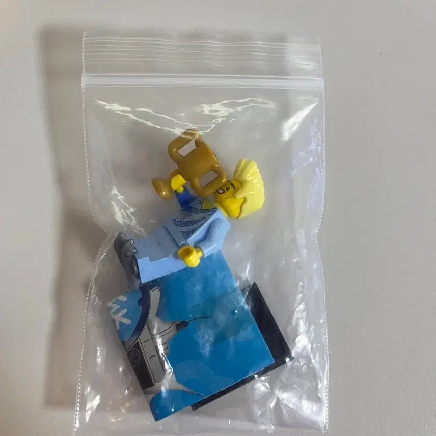 [BUNJANG] LEGO Minifigure Skater / 레고 미니피규어 스케이트선수