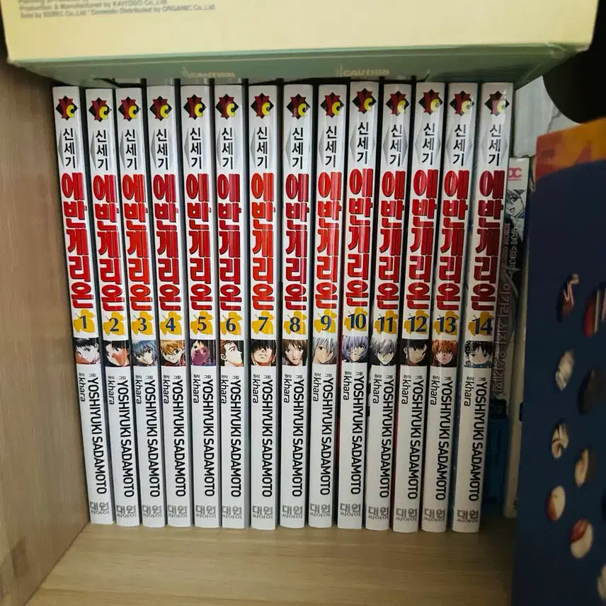 [BUNJANG] Neon Genesis Evangelion Shinseiki Manga Complete Set Volumes 1-14 / 신세기 에반게리온 신장판 만화책 1-14 전권 소장용