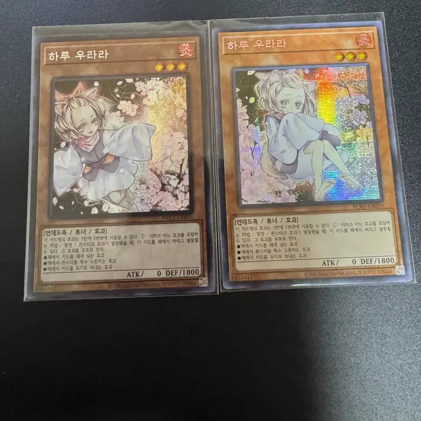 [BUNJANG] Yu-Gi-Oh! Deck Essentials: Ash Blossom, Droll, Effect Veiler, Maxx 'C' Sleeved Cards / 유희왕 패트랩(우라라, 드롤, 뵐러, 증식의 g)