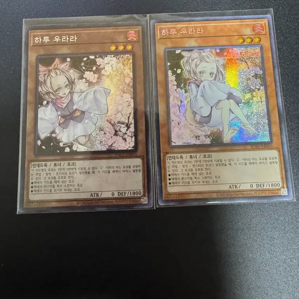 [BUNJANG] Yu-Gi-Oh! Deck Essentials: Ash Blossom, Droll, Effect Veiler, Maxx 'C' Sleeved Cards / 유희왕 패트랩(우라라, 드롤, 뵐러, 증식의 g)