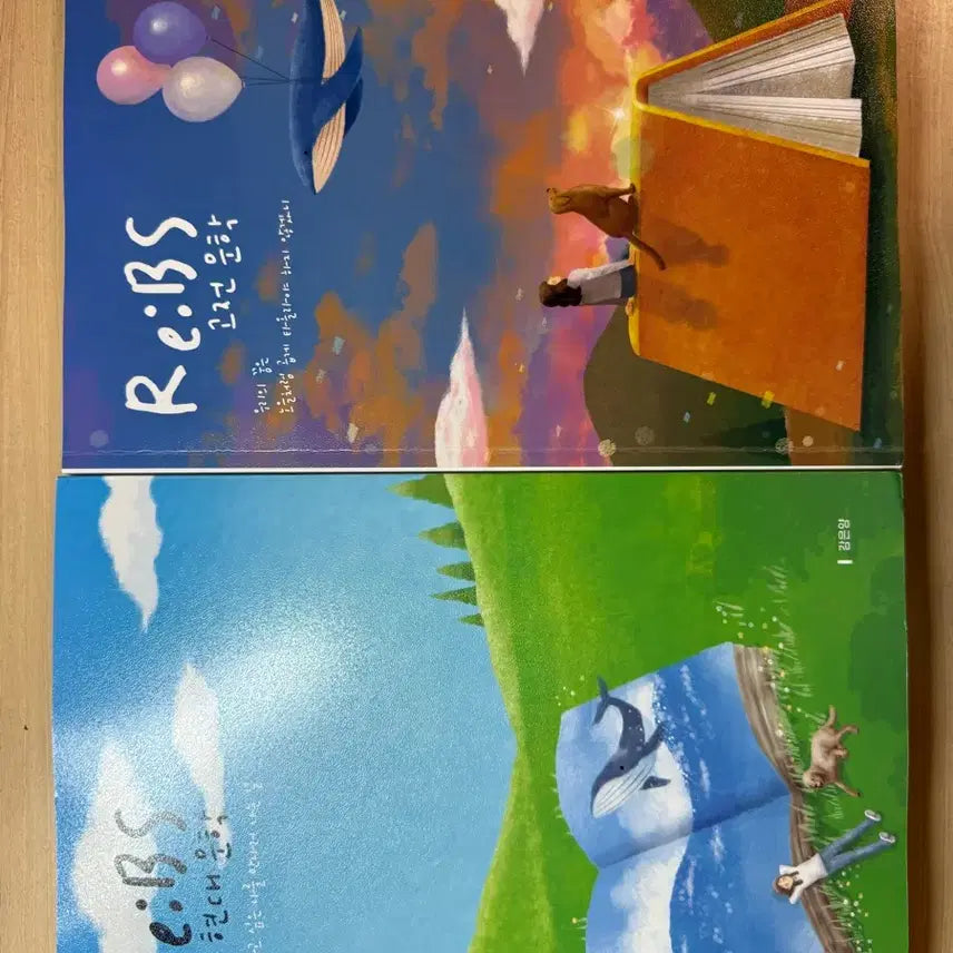 [BUNJANG] Kang Eunyang EBS Special Lecture High-Speed Reading Analysis Textbook / 강은양 수특 해석 교재 리비에스