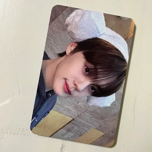 [BUNJANG] ZB1 ZEROBASEONE Gyuvin Beat Road Sheep Head Photocard / 김규빈 앤더블 제베원 제로베이스원 비트로드 양머리 포카