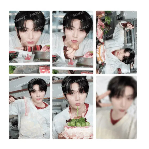 [BUNJANG] Taesan Photocard Set / 태산이포카세트