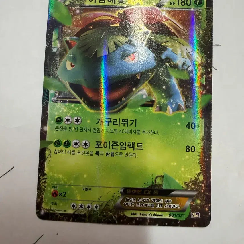 [BUNJANG] Pokemon 20th Anniversary Trainer Box Venusaur ex / 포켓몬 카드 20주년 트레이너박스 이상해꽃 ex