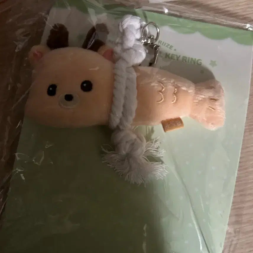 [BUNJANG] RIIZE Sungchan Witchy Witchy Doll Keychain / 라이즈 성찬 액막이 우락밤 인형키링 미개봉