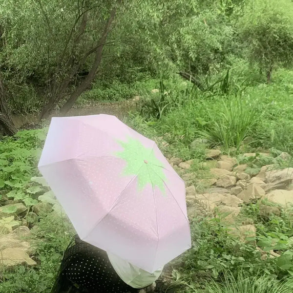 [BUNJANG] OEE0 Strawberry Umbrella / oeeo 딸기양우산 오이이오 만년설