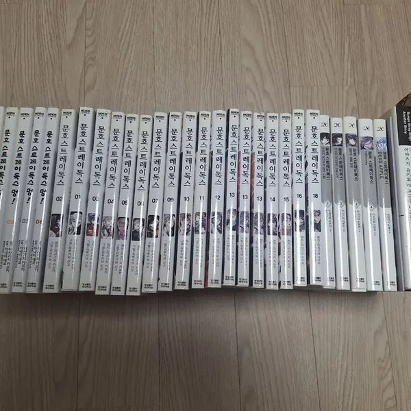 [BUNJANG] Bungo Stray Dogs Manga and Novels Bundle / 문호스트레이트독스 만화책 및 소설 판매 문스독 문스멍