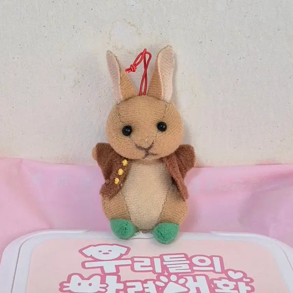 [BUNJANG] Vintage Peter Rabbit Vest Rabbit Doll Keychain / 고전 빈티지 피터래빗 조끼 토끼 인형 키링