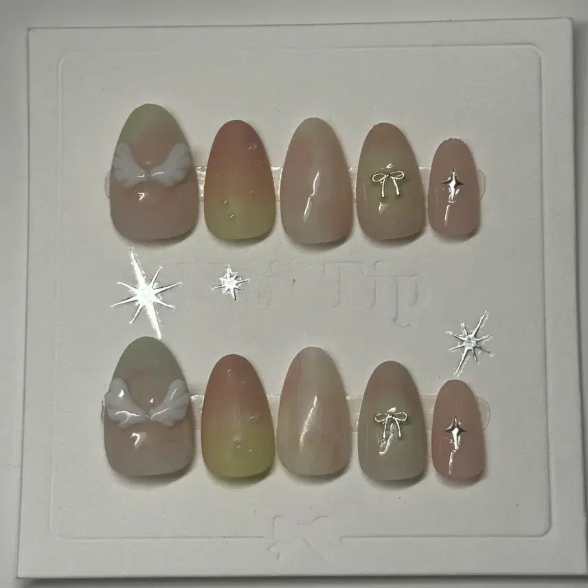 [BUNJANG] Handmade Dried Guava Concept Nail Tips / 말린구아바 수제 네일팁