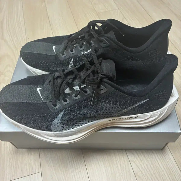 [BUNJANG] Nike Running Shoes / 나이키 런닝화