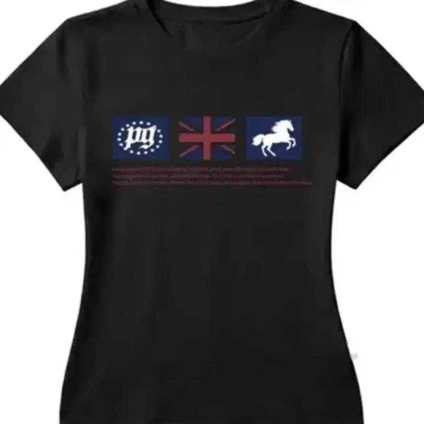 [BUNJANG] Union Jack Printing Short Sleeve T-Shirt (M) / 유니언잭 프린팅 반팔티 (M) 교신가능