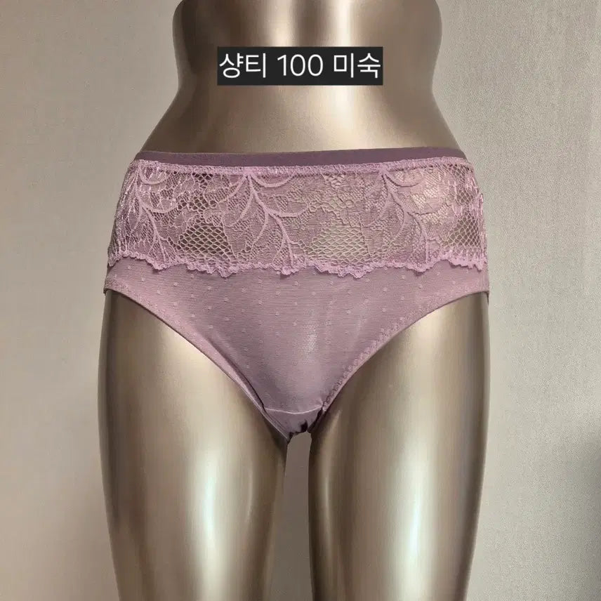 [BUNJANG] Used Women's Panties - Shanti 100 / 중고 여성 팬티 샹티 100 미숙805
