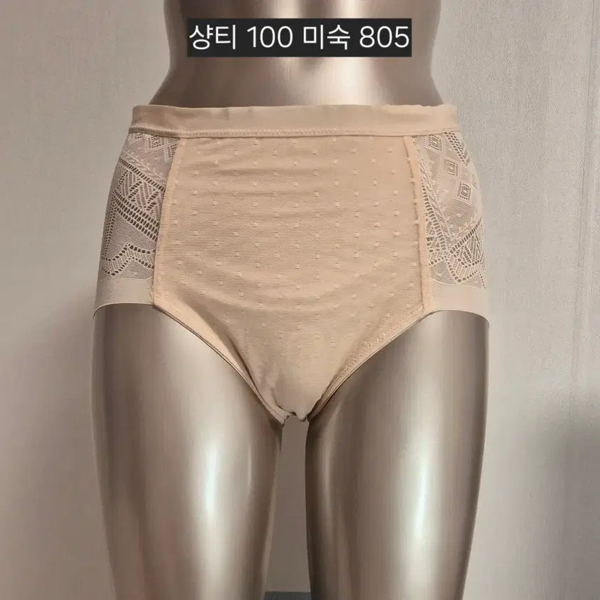 [BUNJANG] Chanty Women's Panties Size 100 / 중고 여성 팬티 샹티 100 미숙 805
