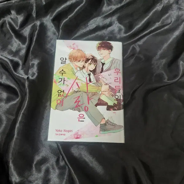 [BUNJANG] Our Love Is Unpredictable Manhwa / 우리의 사랑은 알 수가 없어 순정만화 만화책
