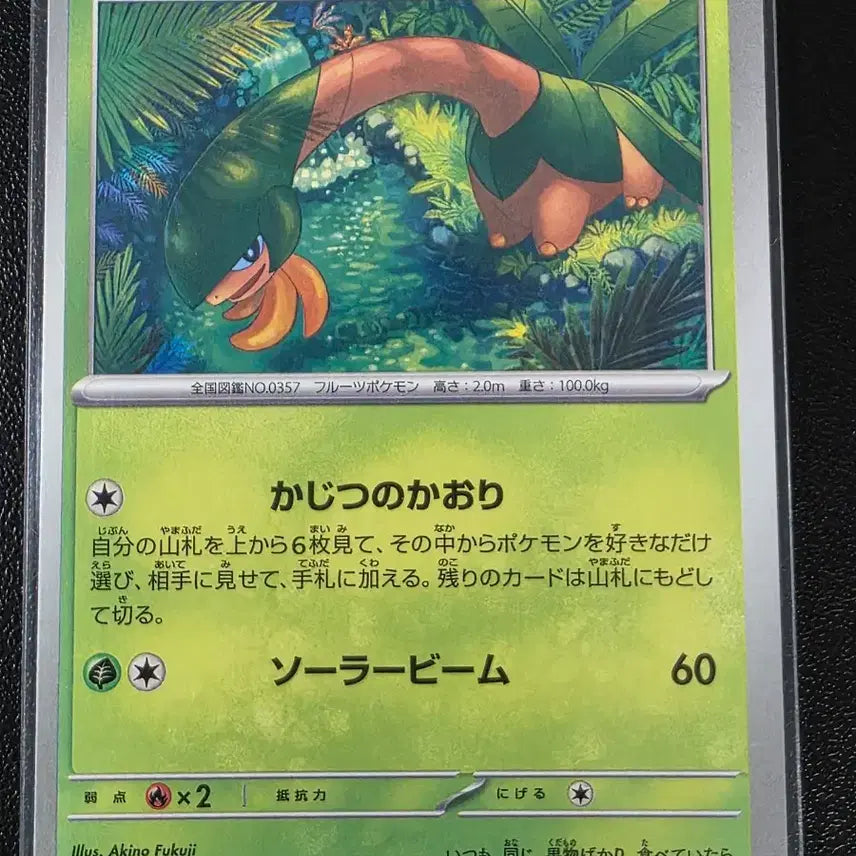 [BUNJANG] Pokemon Card Tropius C Abyss Eye (Japanese Edition) / 포켓몬 카드 트로피우스 C 어비스아이 (일어판)