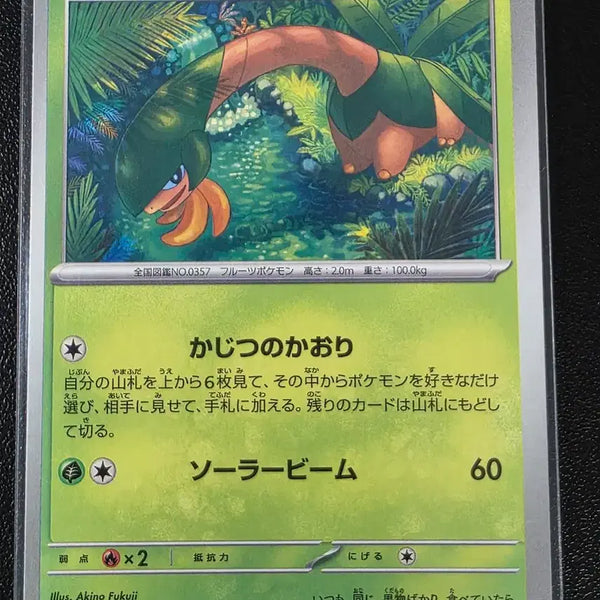 [BUNJANG] Pokemon Card Tropius C Abyss Eye (Japanese Edition) / 포켓몬 카드 트로피우스 C 어비스아이 (일어판)