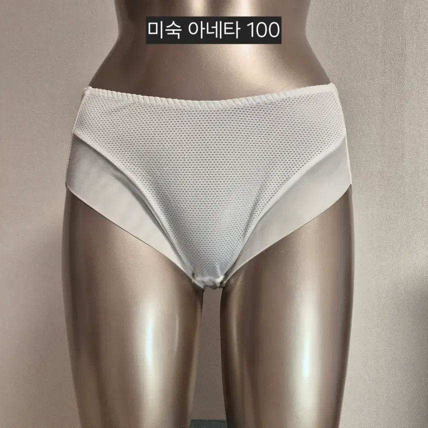 [BUNJANG] Used Aneta 100 White Women's Panties / 중고 여성 팬티 미숙 화이트 아네타 100