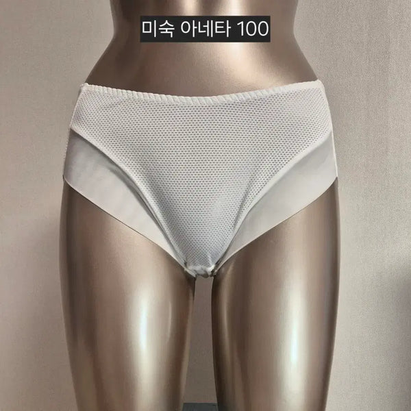 [BUNJANG] Used Aneta 100 White Women's Panties / 중고 여성 팬티 미숙 화이트 아네타 100